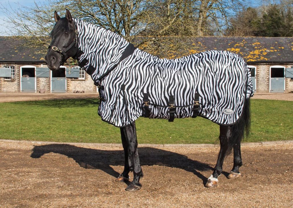 Paard met deken met zebraprint