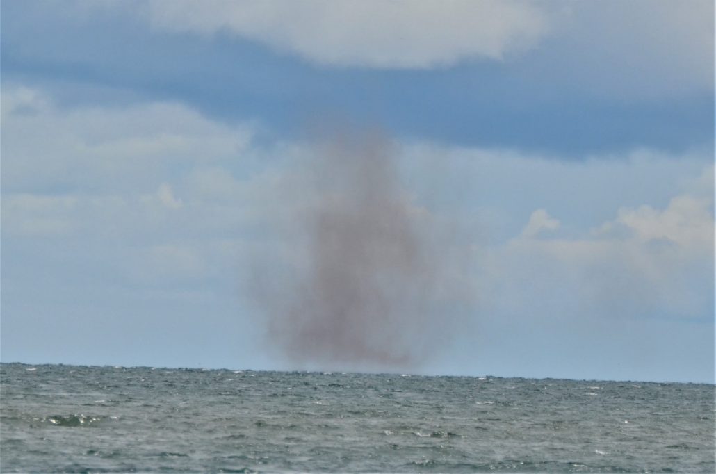 Lake flies boven het Malawimeer