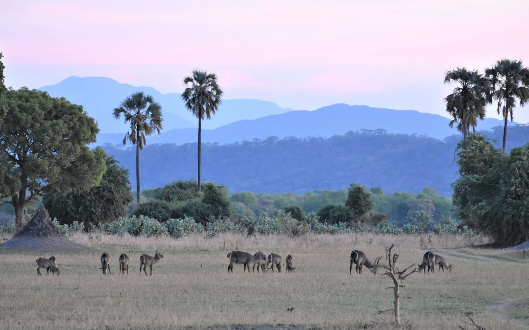 7 redenen om vooral niet naar Malawi te komen