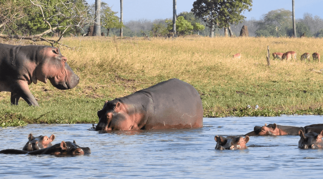 Je wilt op Afrika rondreis, wat beleef je in Malawi?