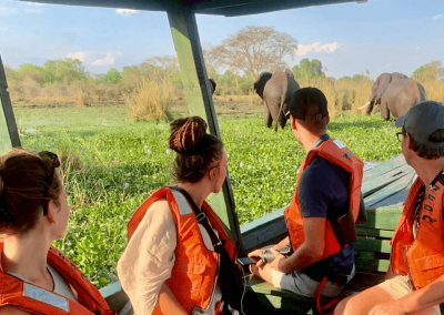 Afrika rondreis in Malawi op boot safari met olifanten