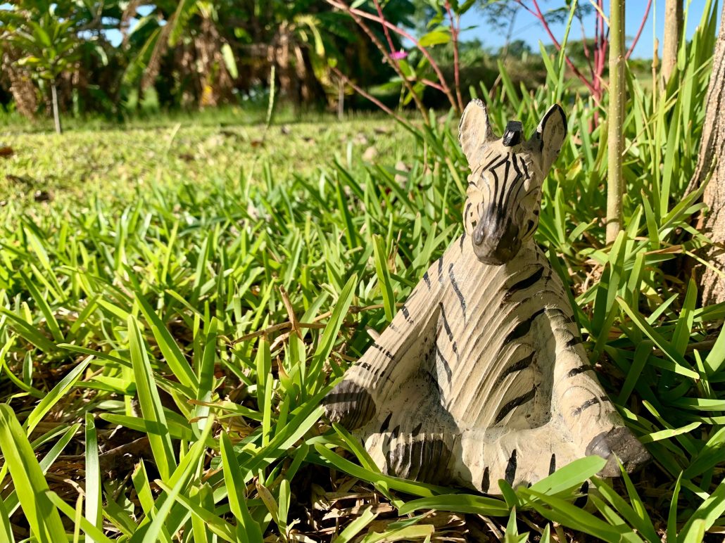 Little zebra statue in a yoga pose