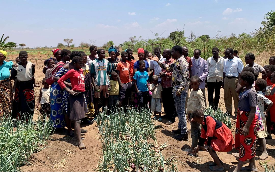 Hoe dragen wij bij aan een duurzame toekomst voor Malawi?