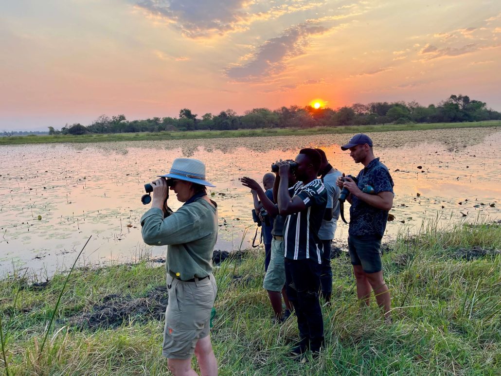 Groep mensen met verrekijkers op zoek naar vogels tijdens de zonsondergang bij Kuti aan het water