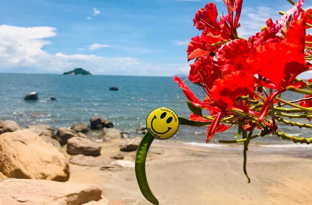 Booking a holiday to Malawi or South Africa; what’s best for you?